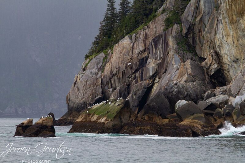 Spire Cove - Kenai Fjords Alaska