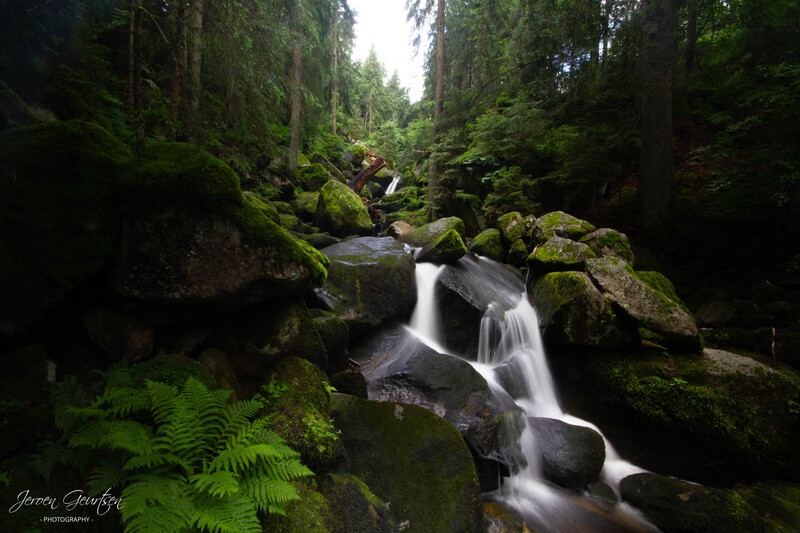Schwarzwald wasserfall III